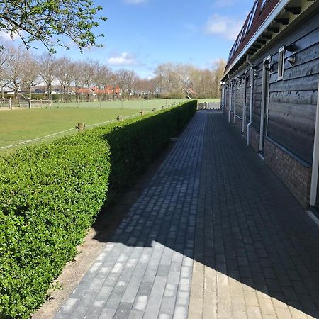 Vakantiewoningen De Schelp Renesse Exterior photo