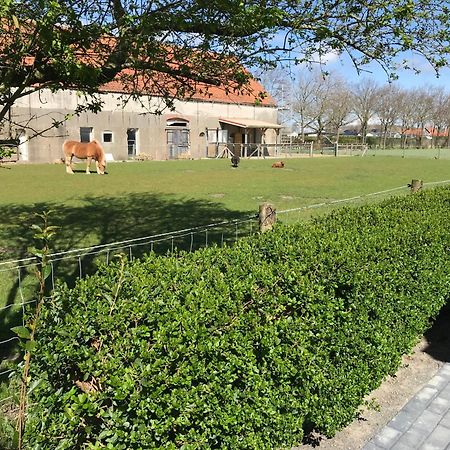 Vakantiewoningen De Schelp Renesse Exterior photo