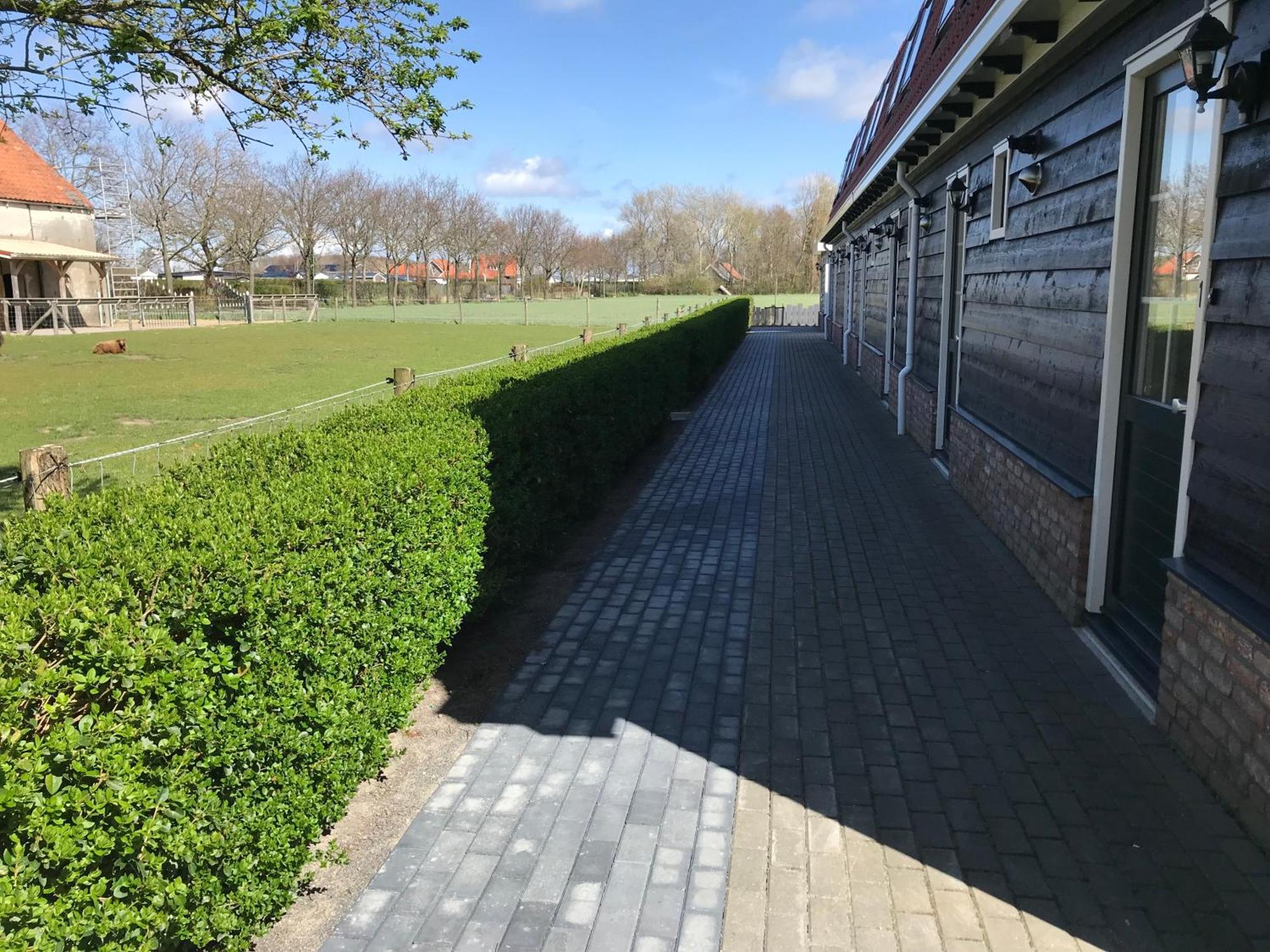 Vakantiewoningen De Schelp Renesse Exterior photo
