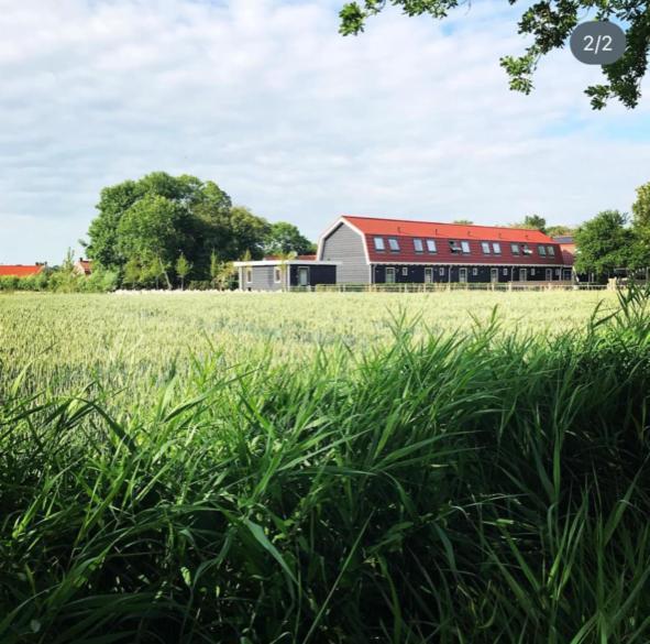 Vakantiewoningen De Schelp Renesse Exterior photo
